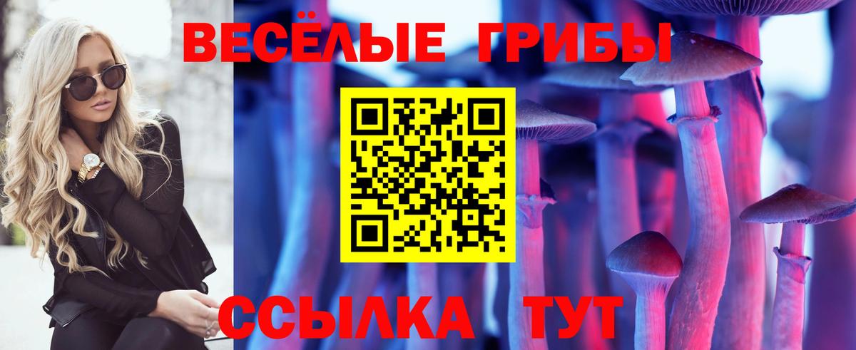 Галлюциногенные грибы MAGIC MUSHROOMS Домодедово